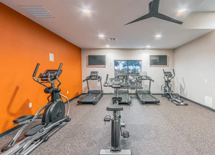 Arlington apartments for rent - image - imgi_127_dominium_rosemont at mayfield villas_26 - fitness center_web.webp