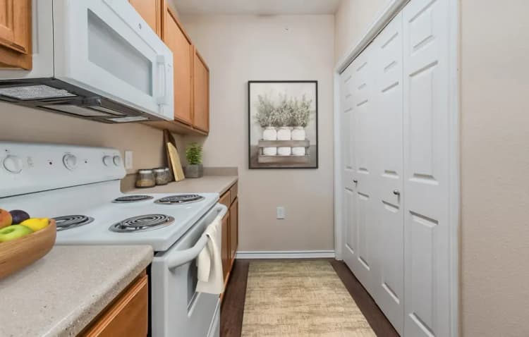 Arlington apartments for rent - image - imgi_410_dominium_rosemont at mayfield villas_9 - kitchen_web.webp