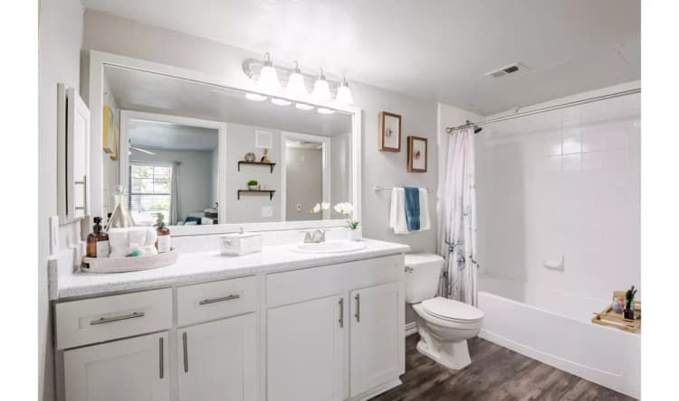Arlington apartments for rent - image - Arbrook Park - Bathroom 1.webp