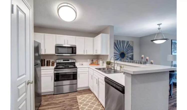 Arlington apartments for rent - image - Arbrook Park - Kitchen.webp