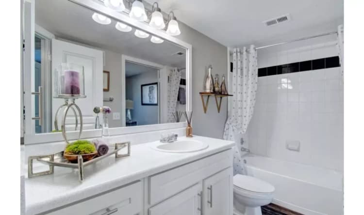 Arlington apartments for rent - image - Arbrook Park - Bathroom.webp