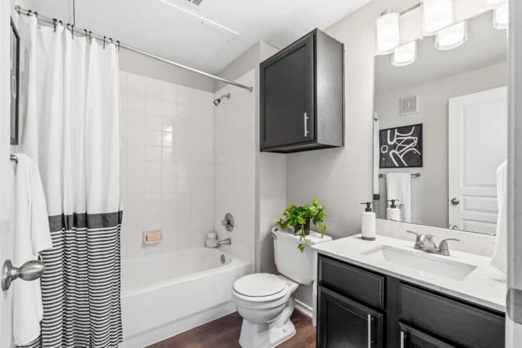 Arlington apartments for rent - image - Bardin Greene - Bathroom.webp