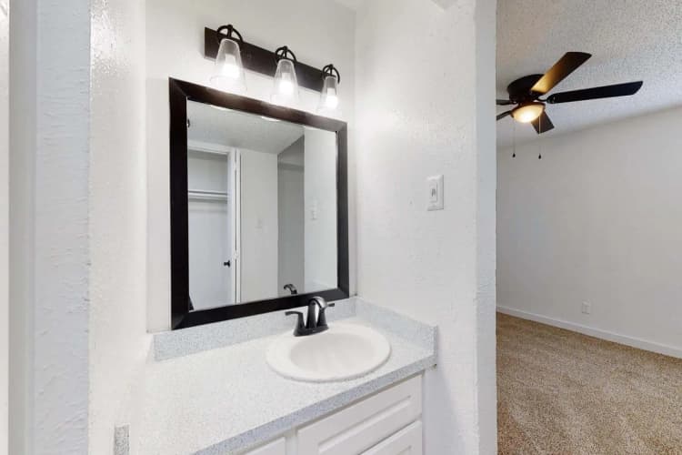 Arlington apartments for rent - image - Regency Apartments Interiors - Sink.jpeg