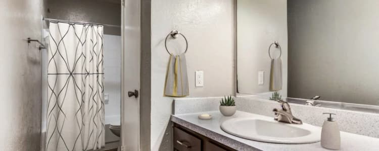 Arlington apartments for rent - image - Shadow Ridge Interior - Bathroom.webp