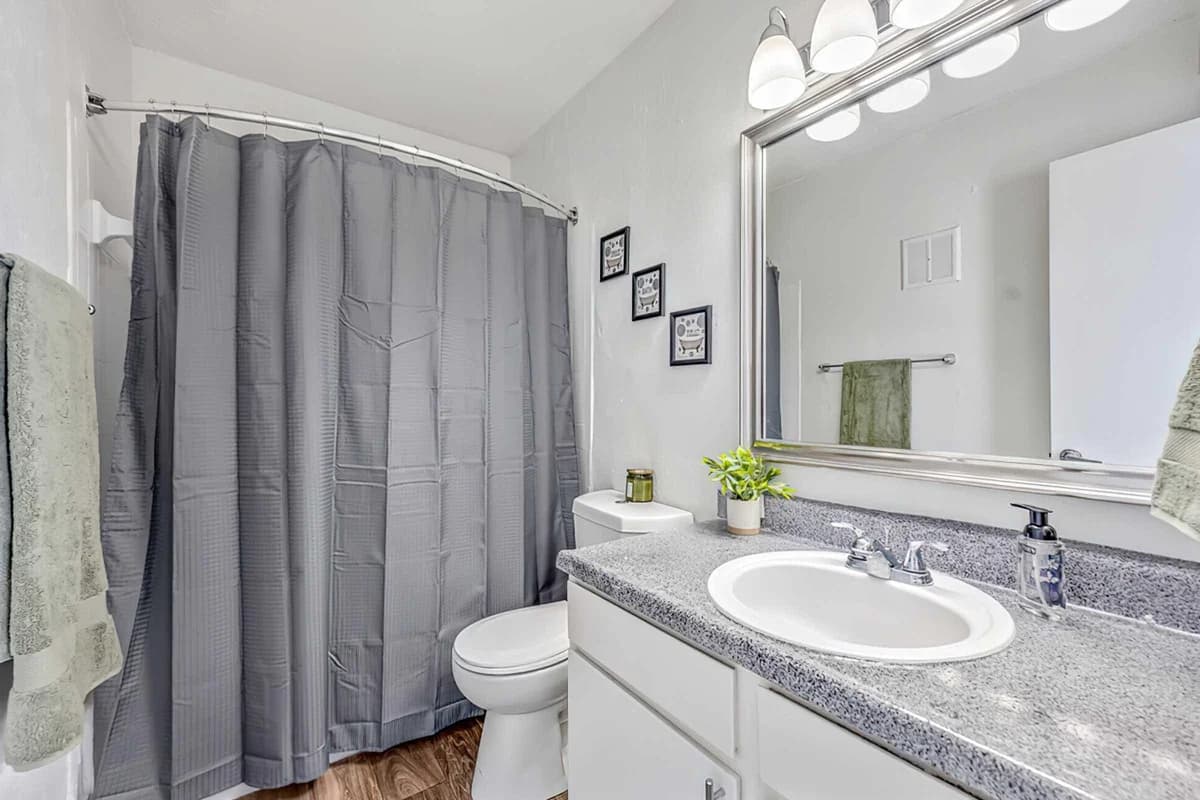Arlington apartments for rent - image - The Junction - Bathroom.jpeg