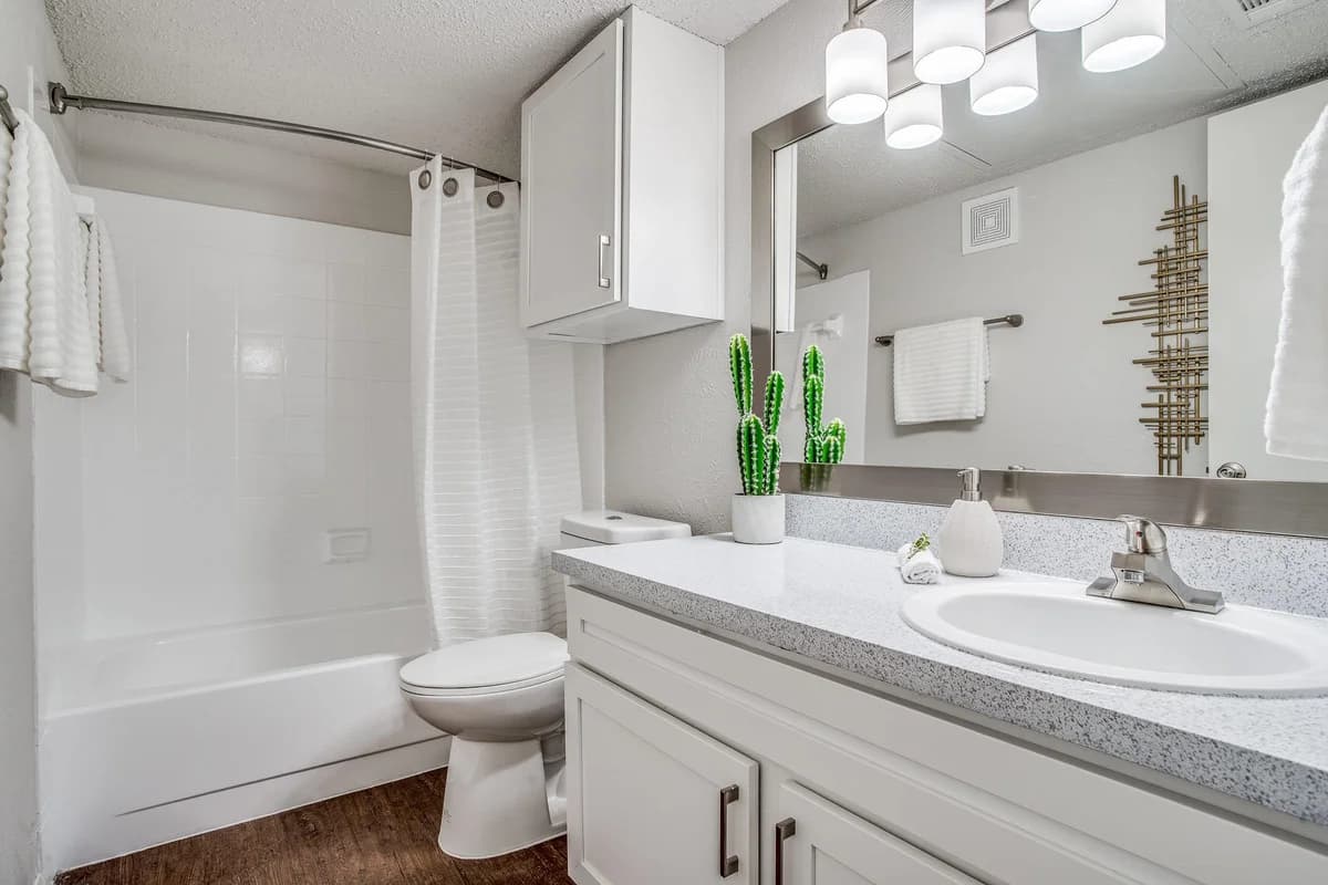 Arlington apartments for rent - image - The Hub A1 Upgraded - Bathroom.jpg