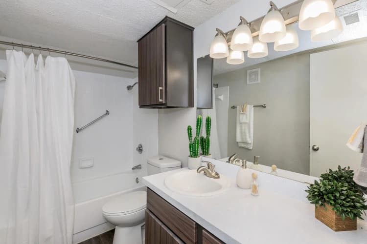 Arlington apartments for rent - image - The Hub A1 - Bathroom.jpg