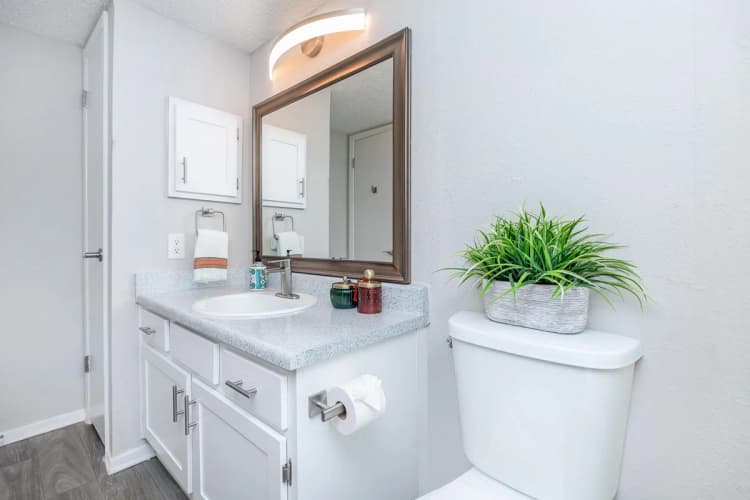 Arlington apartments for rent - image - Harmony Apartments A1 1bd1ba - Bathroom1.jpg