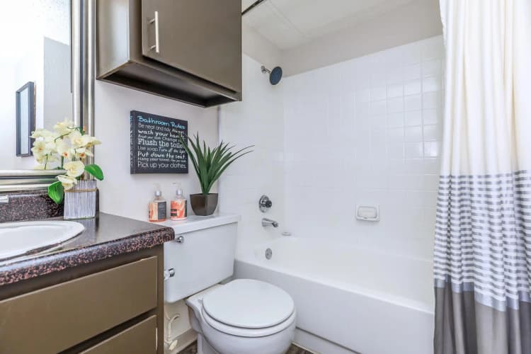 Arlington apartments for rent - image - Harmony Apartments B2 2bd2ba - Bathroom3.jpg