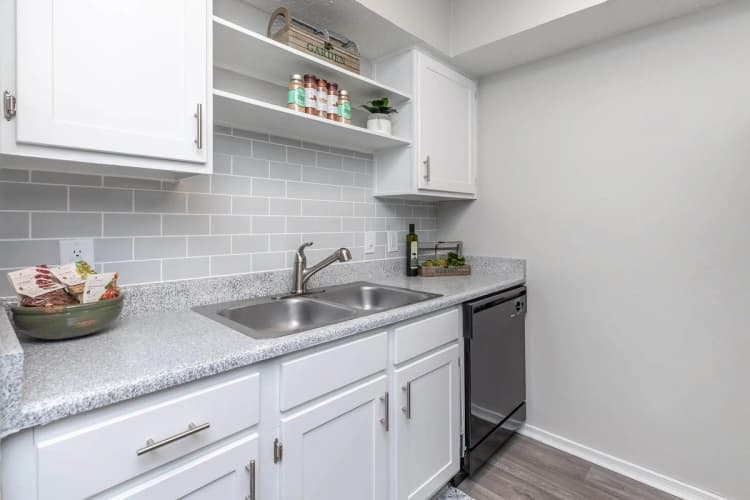 Arlington apartments for rent - image - Harmony Apartments A1 1bd1ba - Kitchen Sink.jpg