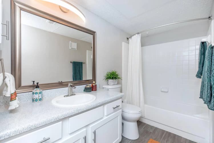 Arlington apartments for rent - image - Harmony Apartments A1 1bd1ba - Bathroom.jpg