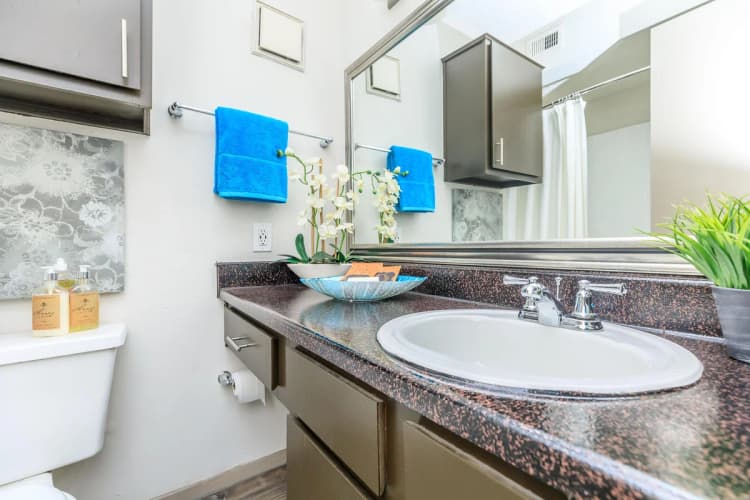 Arlington apartments for rent - image - Harmony Apartments B2 2bd2ba - Bathroom.jpg