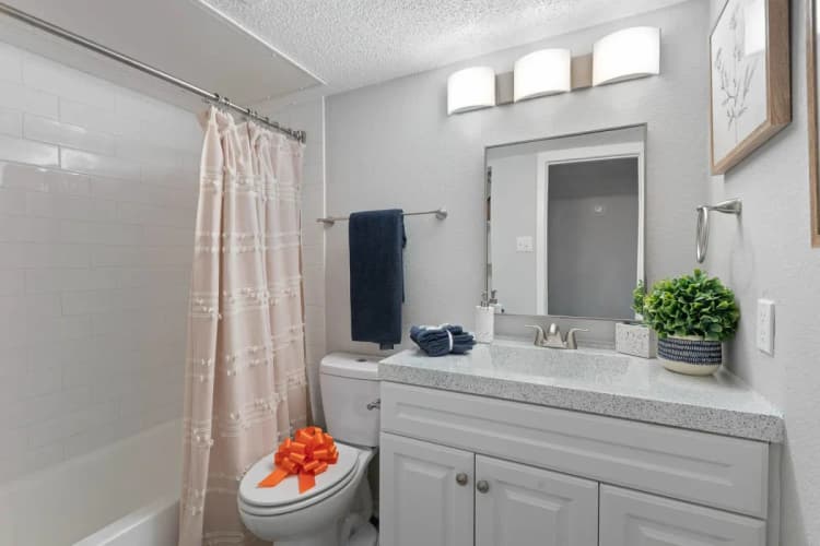 Arlington apartments for rent - image - District 2308 - Bathroom 2.webp