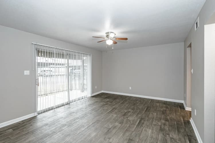Arlington apartments for rent - image - Belmont Place (B3) - Living room 2.webp