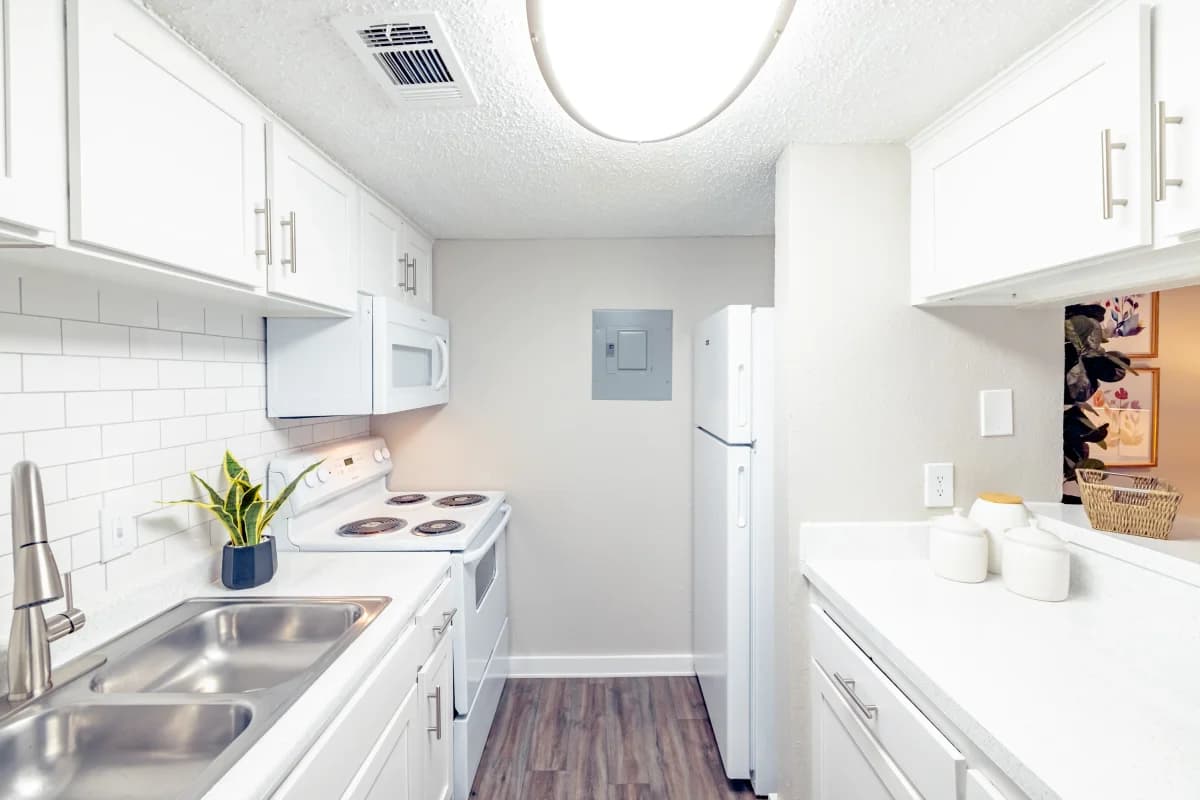 Arlington apartments for rent - image - Paisley (Abp) (Corvette) - Kitchen 1.webp