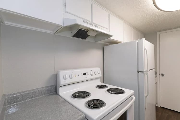 Arlington apartments for rent - image - Paisley (Abp) (Rain) - Kitchen 1.webp
