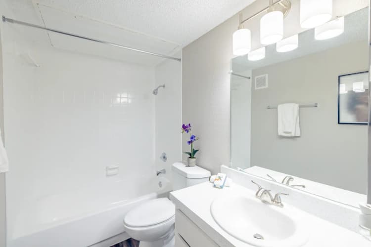 Arlington apartments for rent - image - Paisley (Abp) (Corvette) - Bathroom 1.webp