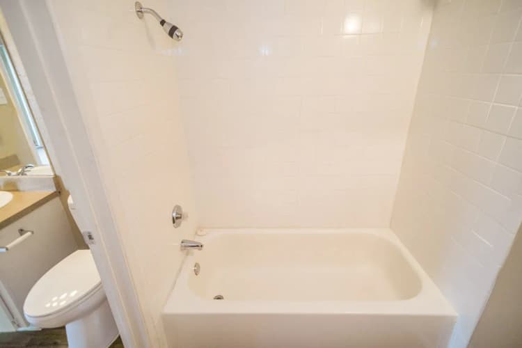 Arlington apartments for rent - image - Paisley (Abp) (Dimond) - Bathroom 1.webp