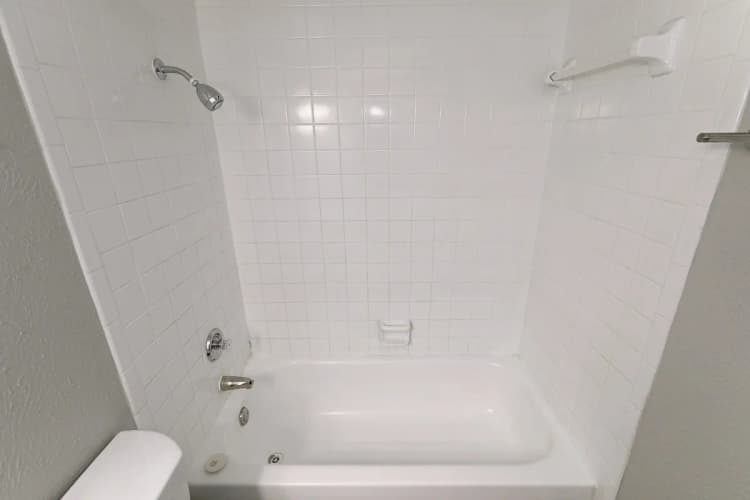 Arlington apartments for rent - image - Paisley (Abp) (Pearl) - Bathroom 1.webp