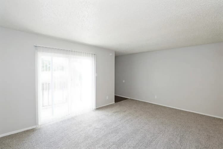 Arlington apartments for rent - image - Paisley (Abp) - Living room 2.webp