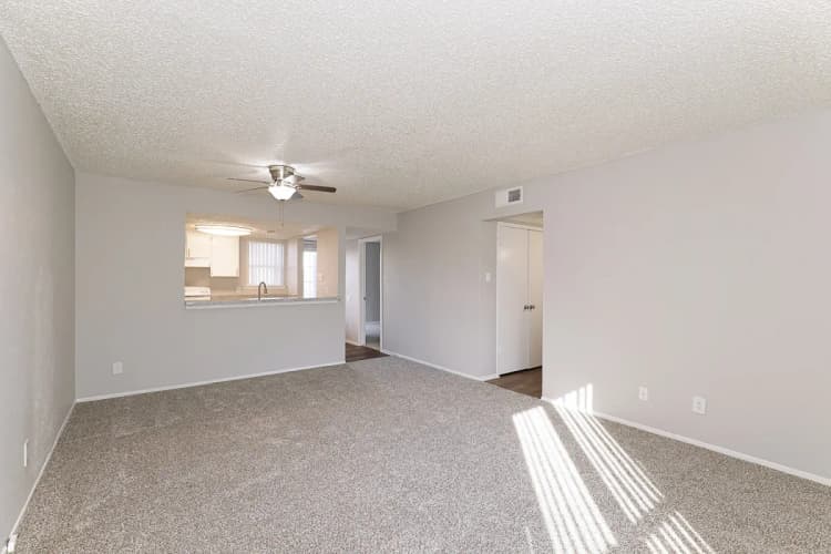 Arlington apartments for rent - image - Paisley (Abp) (Pearl) - Living room 2.webp