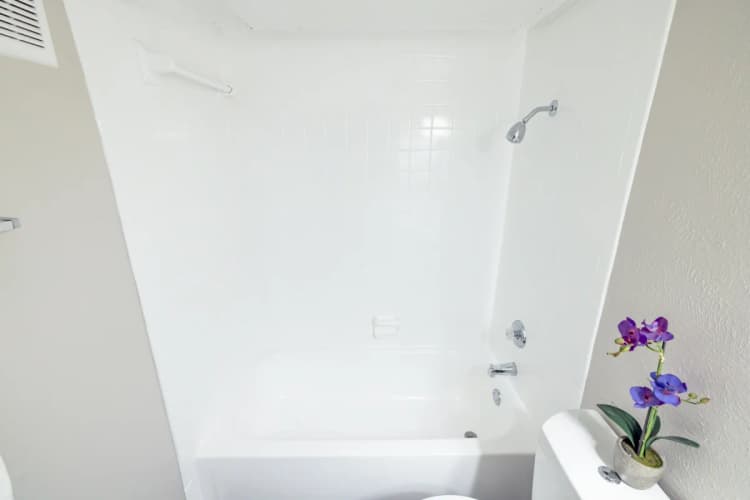 Arlington apartments for rent - image - Paisley (Abp) (Corvette) - Bathroom 2.webp