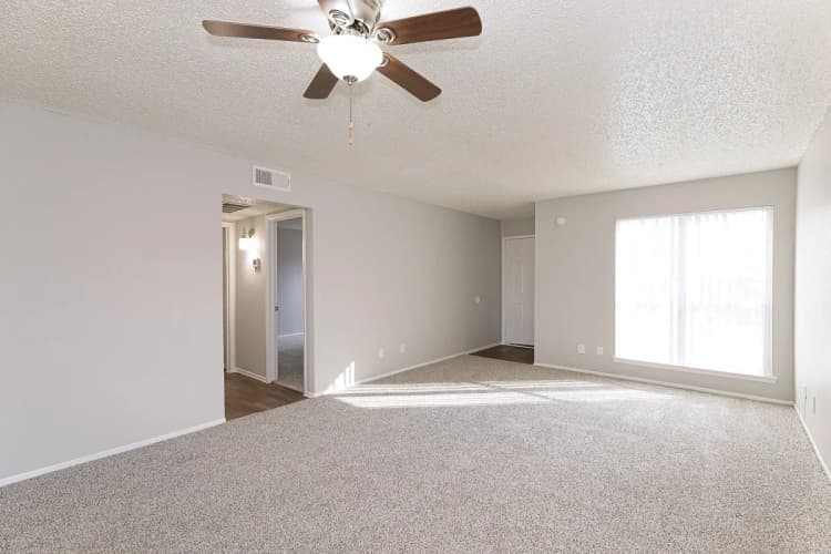 Arlington apartments for rent - image - Paisley (Abp) (Pearl) - Living room 3.webp