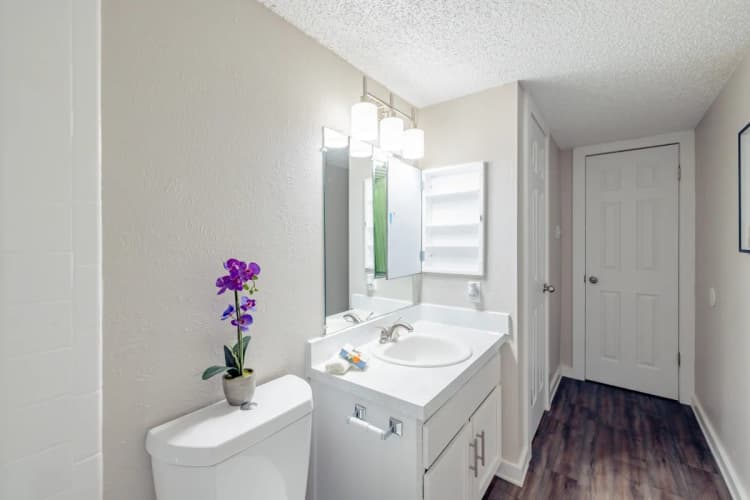 Arlington apartments for rent - image - Paisley (Abp) (Corvette) - Bathroom 3.webp