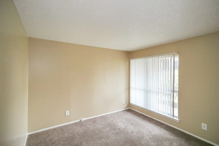 Arlington apartments for rent - image - Paisley (Abp) (Dove) - Bedroom 4.webp