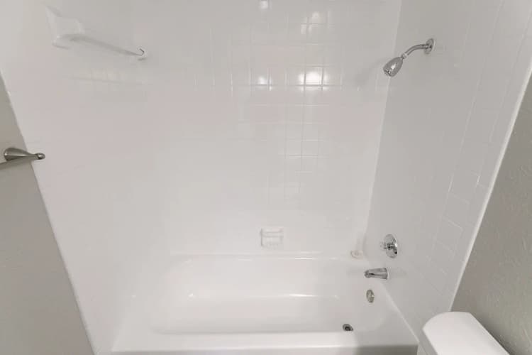 Arlington apartments for rent - image - Paisley (Abp) (Pearl) - Bathroom 4.webp