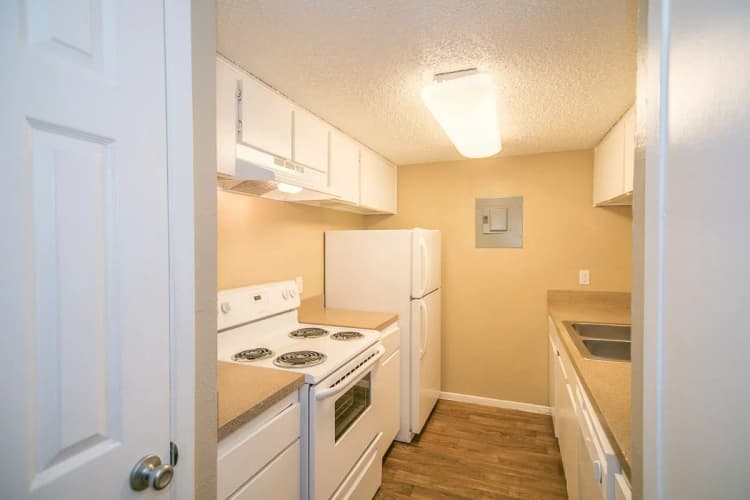 Arlington apartments for rent - image - Paisley (Abp) (Dimond) - Kitchen.webp