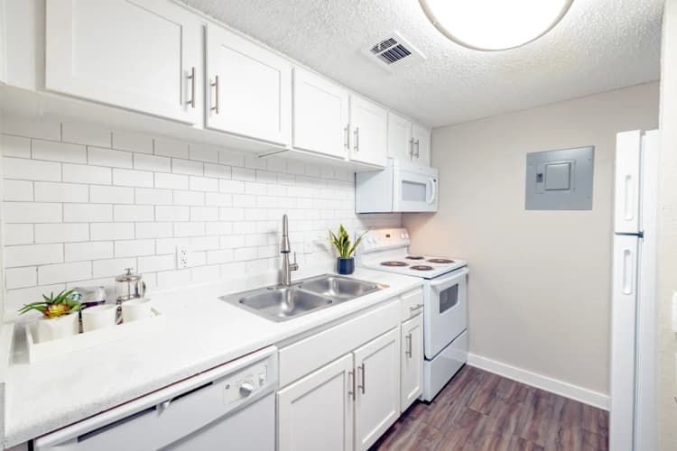 Arlington apartments for rent - image - Paisley (Abp) (Corvette) - Kitchen.webp