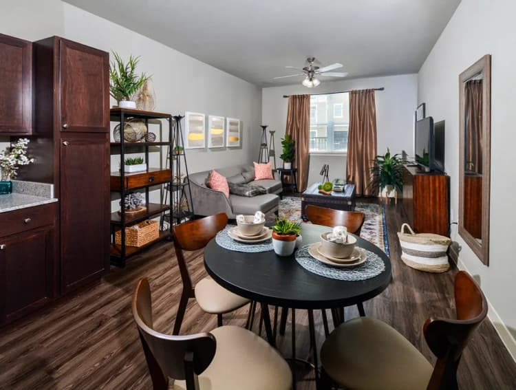 Arlington apartments for rent - image - Elliot Senior - Living room 2.webp
