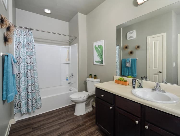 Arlington apartments for rent - image - Elliot Senior - Bathroom.webp