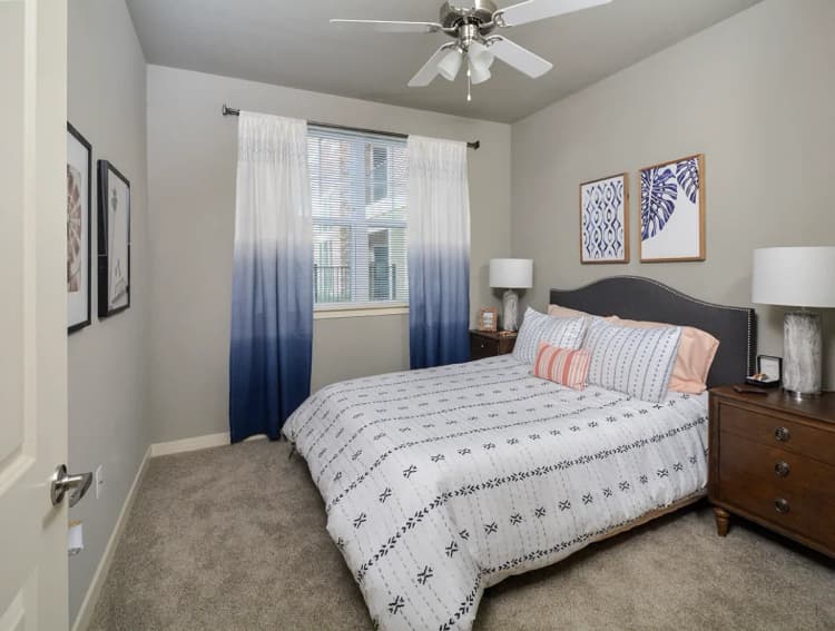 Arlington apartments for rent - image - Elliot Senior - Bedroom.webp