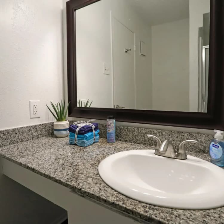 Arlington apartments for rent - image - Cedar Point Apts (Tc) - Bathroom 2.webp