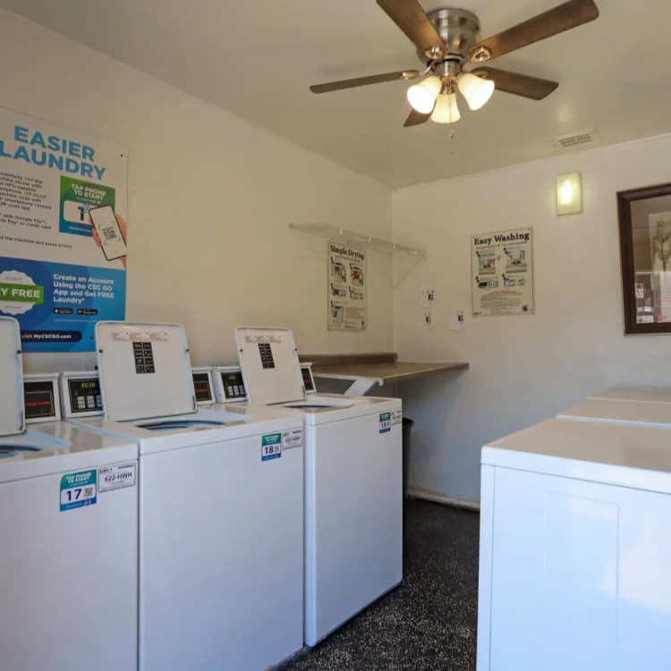 Arlington apartments for rent - image - Cedar Point Apts (Tc) - Lundry room.webp