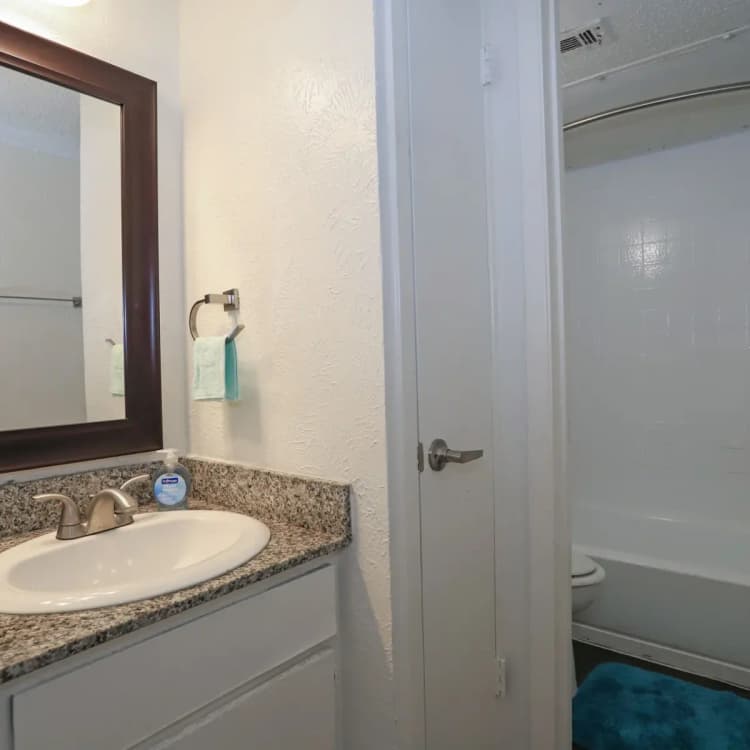 Arlington apartments for rent - image - Cedar Point Apts (Tc) - Bathroom.webp