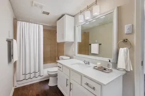 Arlington apartments for rent - image - Center Place Apts (Tc) - Bathroom.avif