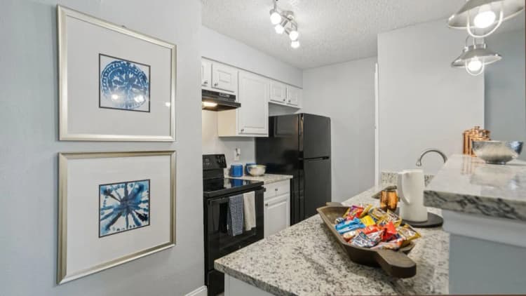 Arlington apartments for rent - image - Biltmore Apartments - Kitchen 1.webp