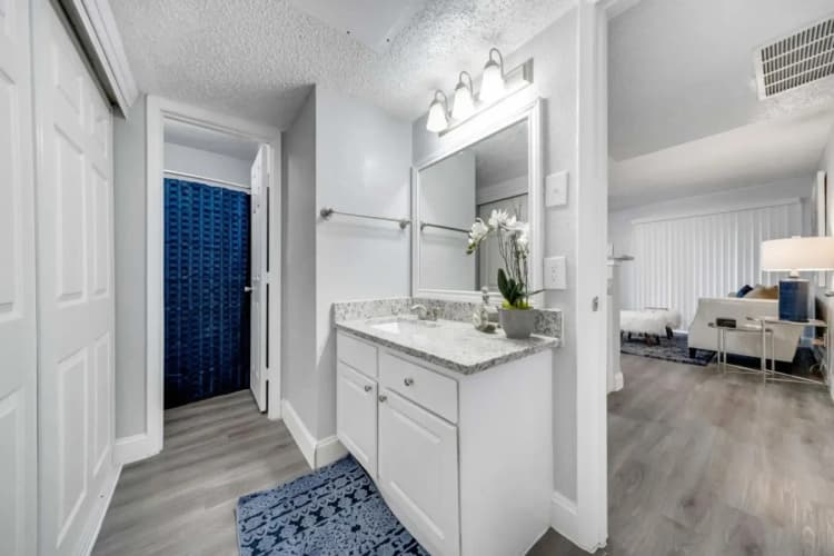 Arlington apartments for rent - image - Biltmore Apartments - Bathroom 3.webp
