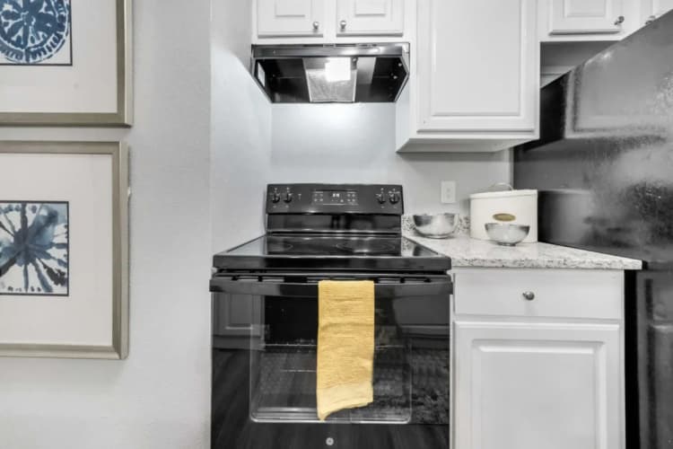 Arlington apartments for rent - image - Biltmore Apartments - Kitchen 8.webp