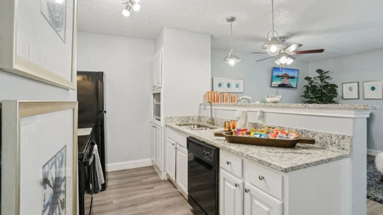 Arlington apartments for rent - image - Biltmore Apartments - Kitchen 9.webp