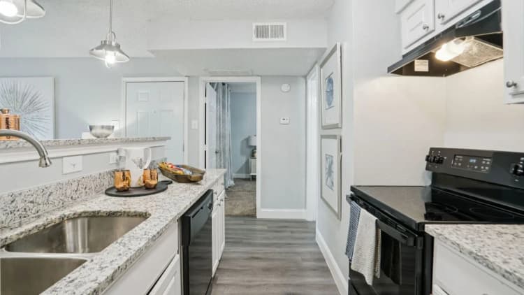Arlington apartments for rent - image - Biltmore Apartments - Kitchen 10.webp