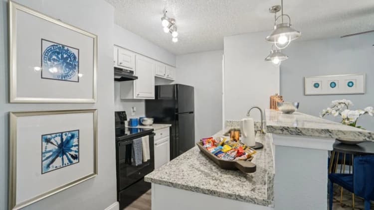 Arlington apartments for rent - image - Biltmore Apartments - Kitchen 13.webp