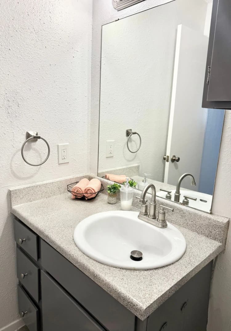 Arlington apartments for rent - image - Pine Ridge - Bathroom 1.webp