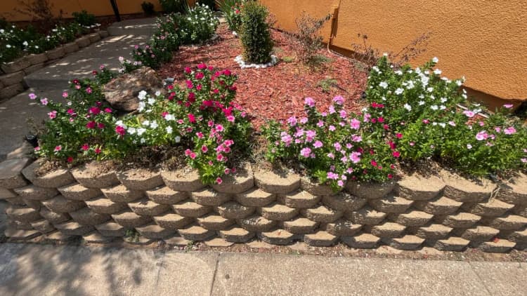 Arlington apartments for rent - image - Pine Ridge - Garden.webp