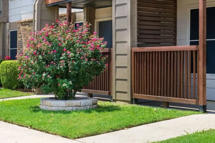 Arlington apartments for rent - image - Twenty Oaks Apartments - Exterior 6.webp