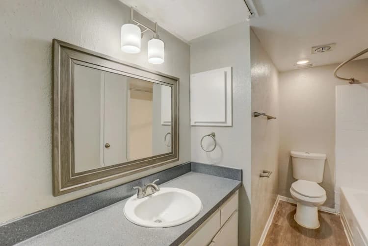 Arlington apartments for rent - image - Woodwind Apartments - Bathroom 1.webp