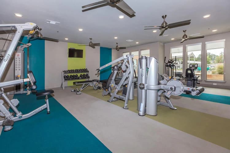 Arlington apartments for rent - image - 404 Border - Gym 1.jpg